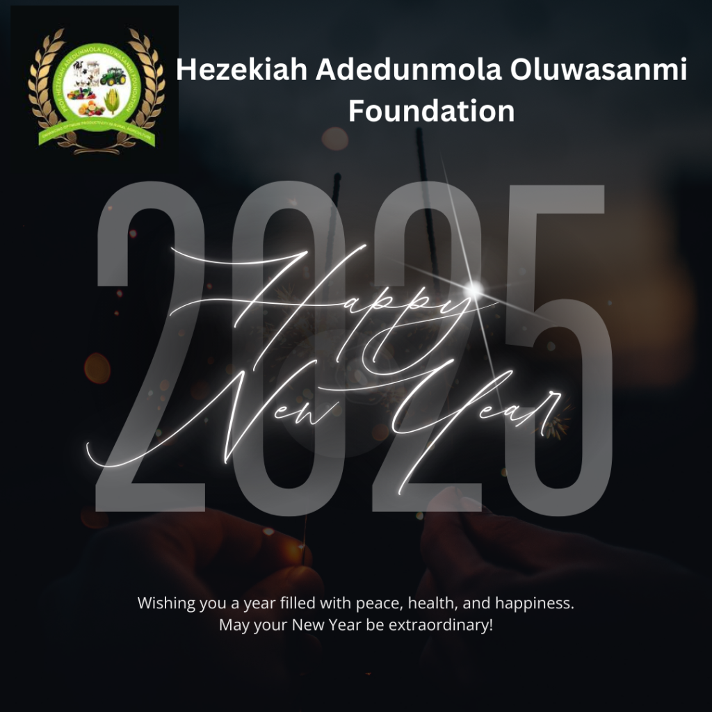 Happy New Year 2025!